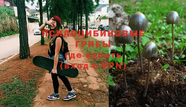 ПСИЛОЦИБИНОВЫЕ ГРИБЫ Лабытнанги