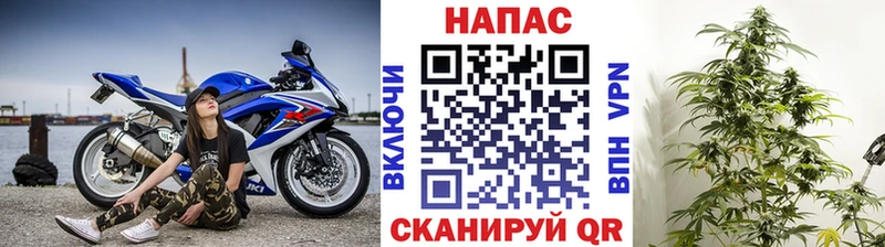 Бошки Шишки индика  Купить где  Костерёво 